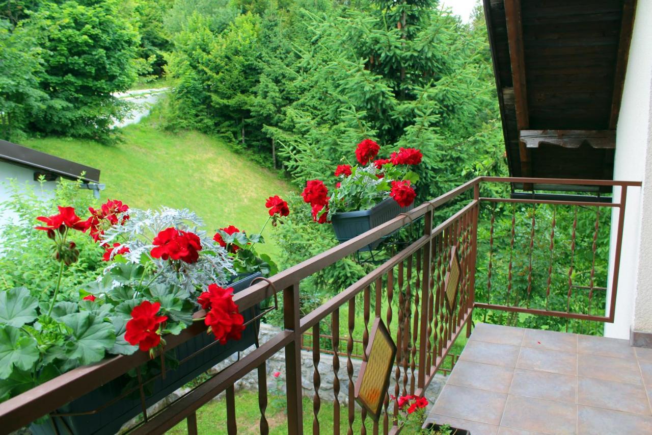 Kuca Za Odmor Cicki Vrh Villa Brestova Draga Exterior photo