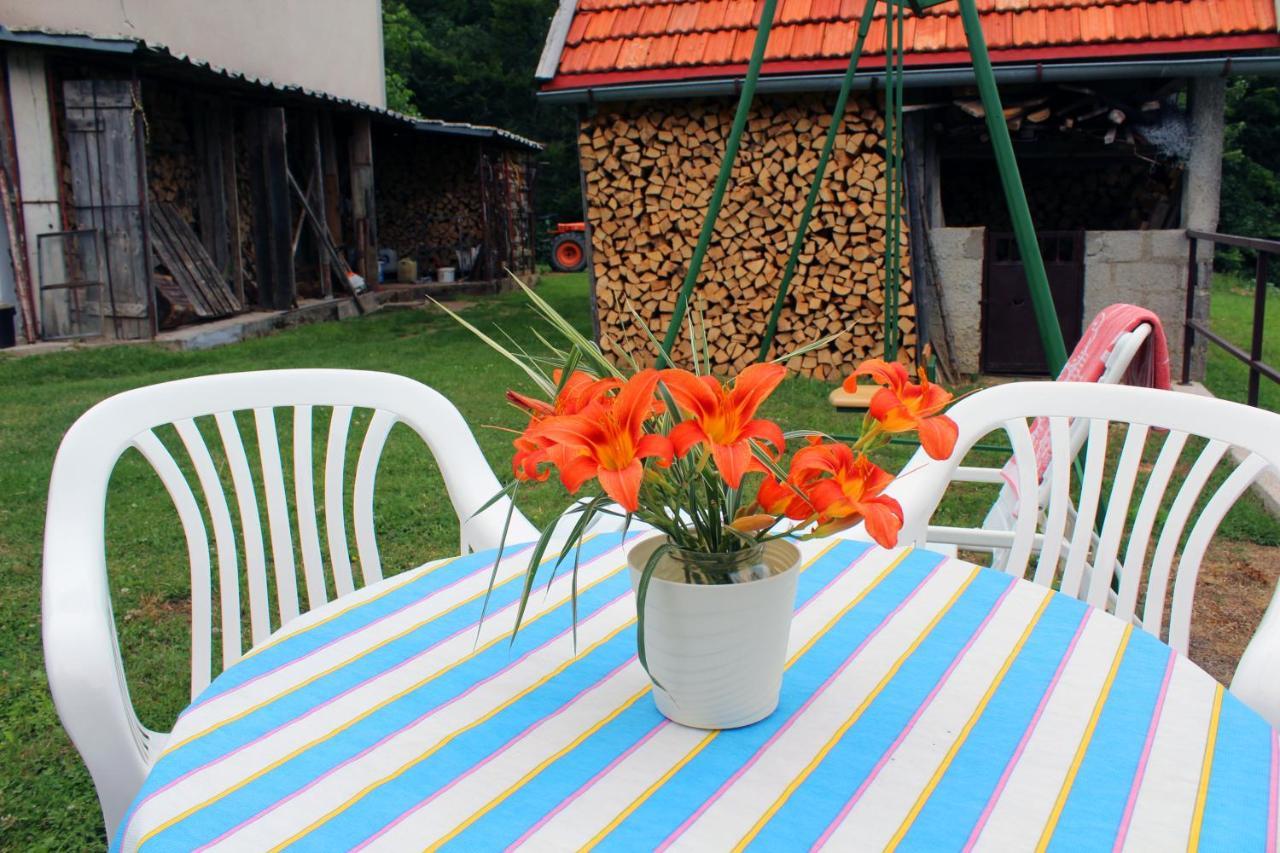 Kuca Za Odmor Cicki Vrh Villa Brestova Draga Exterior photo